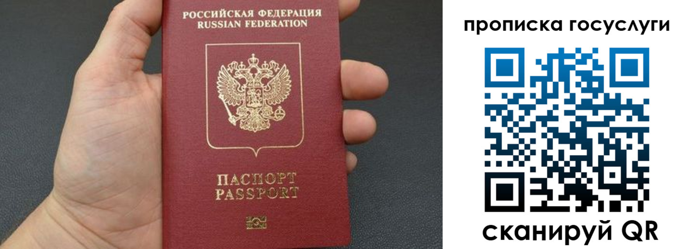 купить прописку в Ярославской области